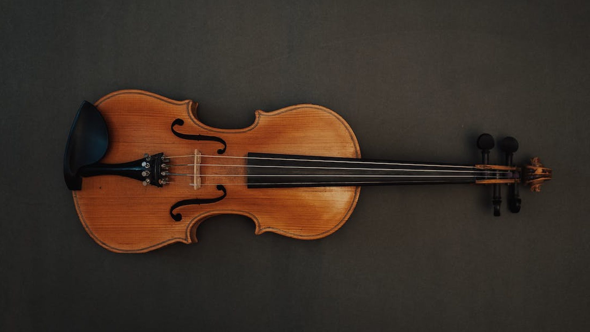 violin